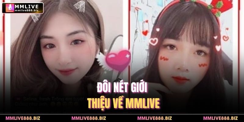 Đôi nét giới thiệu về MMlive