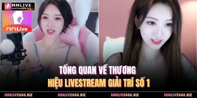 Tổng quan về thương hiệu livestream giải trí số 1